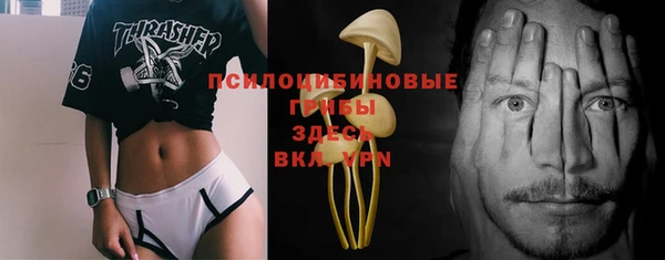 метадон Горняк