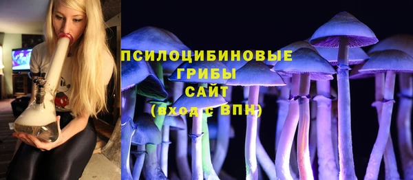 метадон Горняк