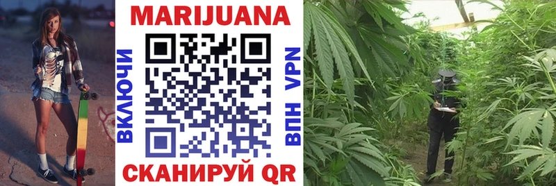Канабис OG Kush  Купить где  Ишим 